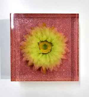 ריבוע אפוקסי ורוד מחזיק ספרים 15X15X4